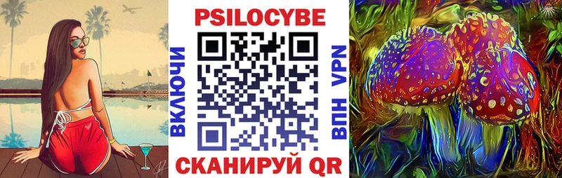 Купить закладки  Ковдор  Псилоцибиновые грибы мухоморы 